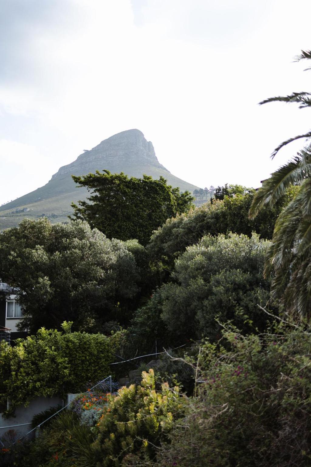Radium Hall Guest House Cape Town Dış mekan fotoğraf