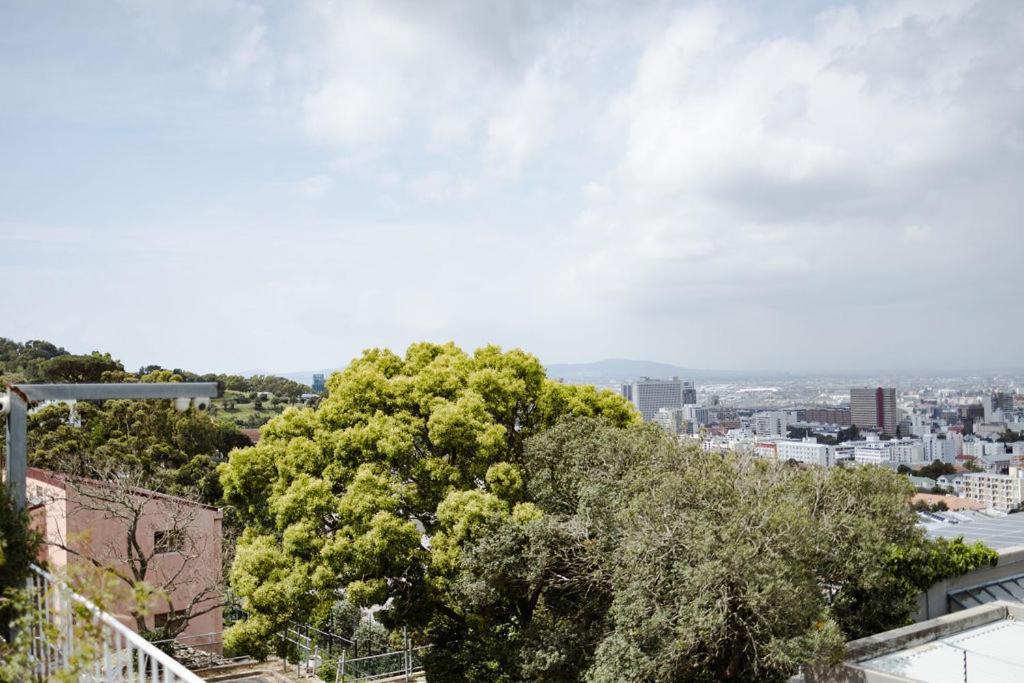Radium Hall Guest House Cape Town Dış mekan fotoğraf